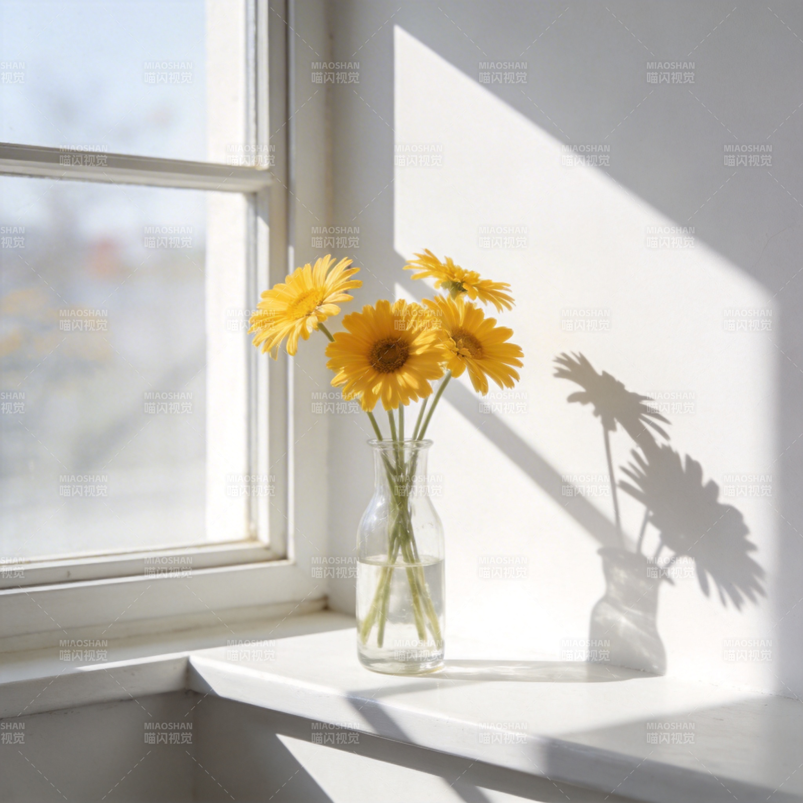 窗边向日葵静影图片