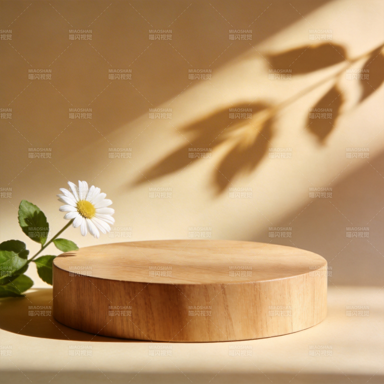 木台雏菊光影图片