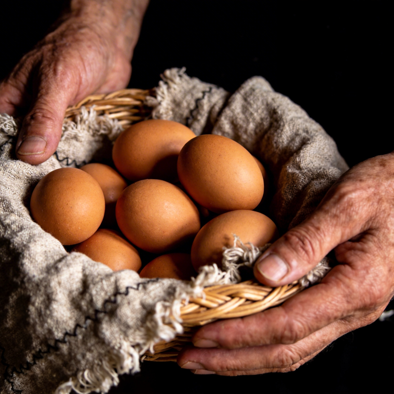 手中捧蛋 温暖如初图片