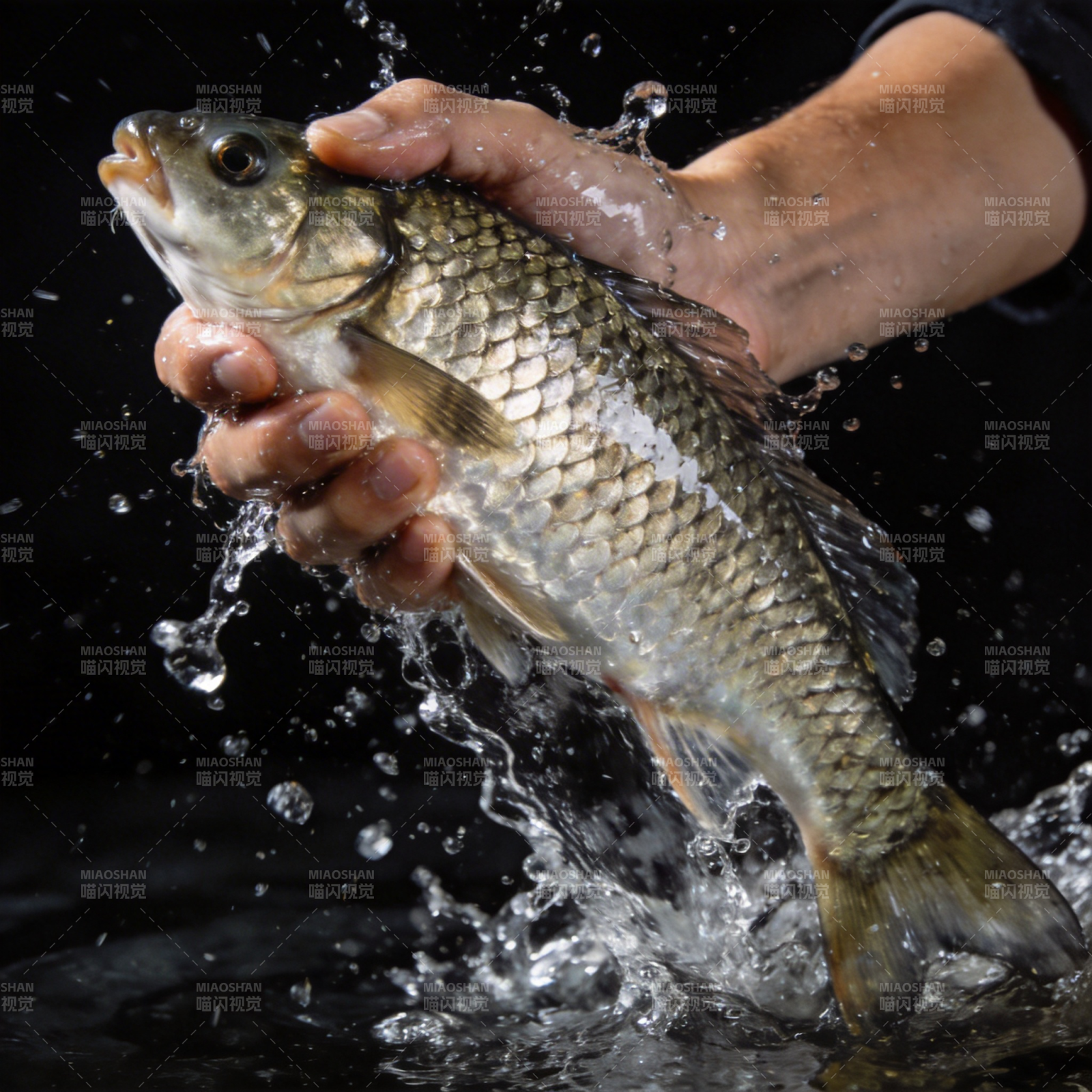 手握活鱼溅水图片