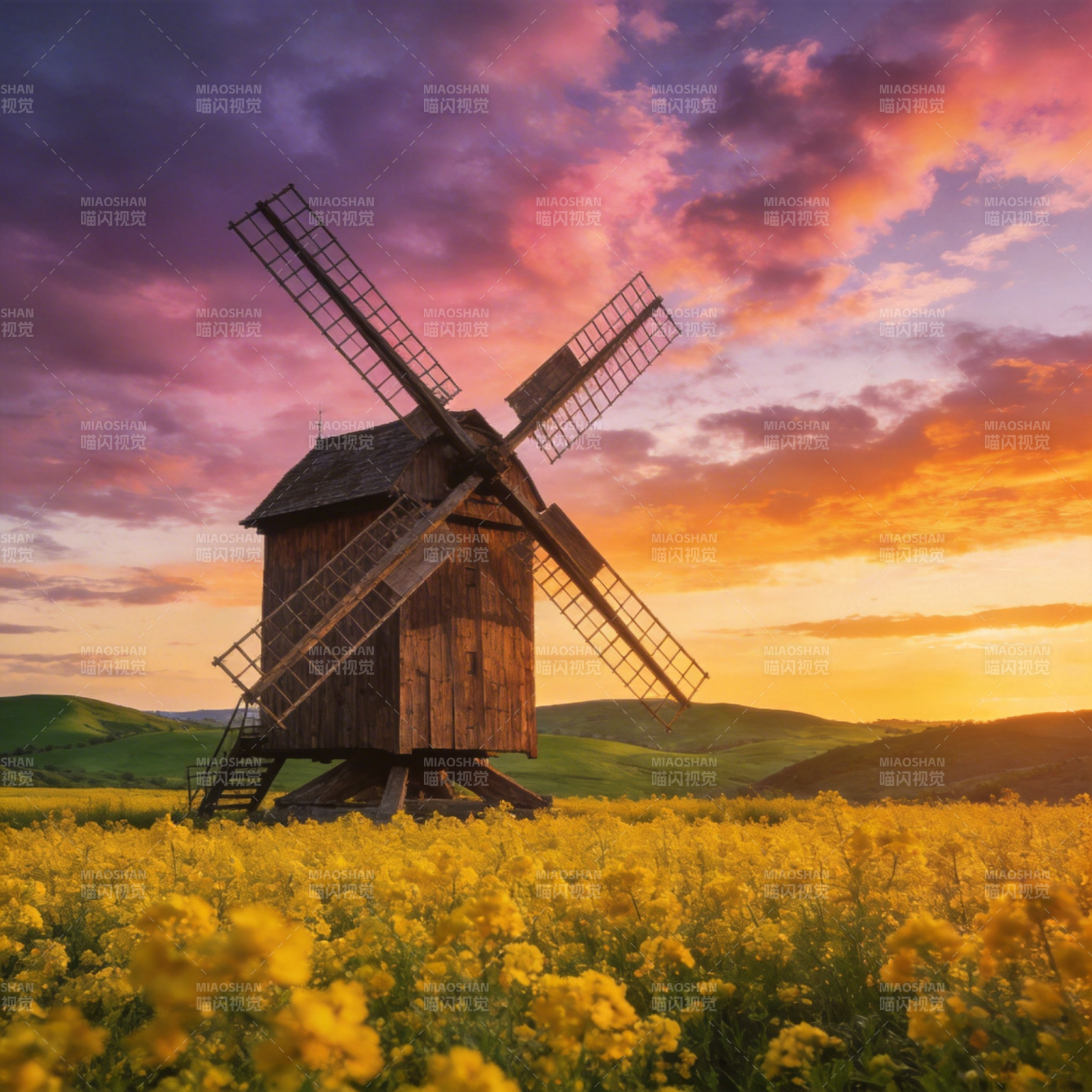 风车花海夕阳图片