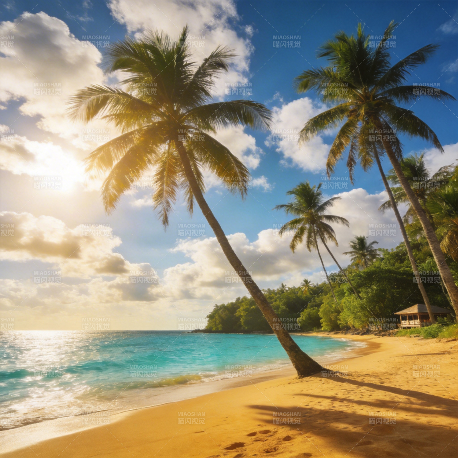 热带海滩风光图片