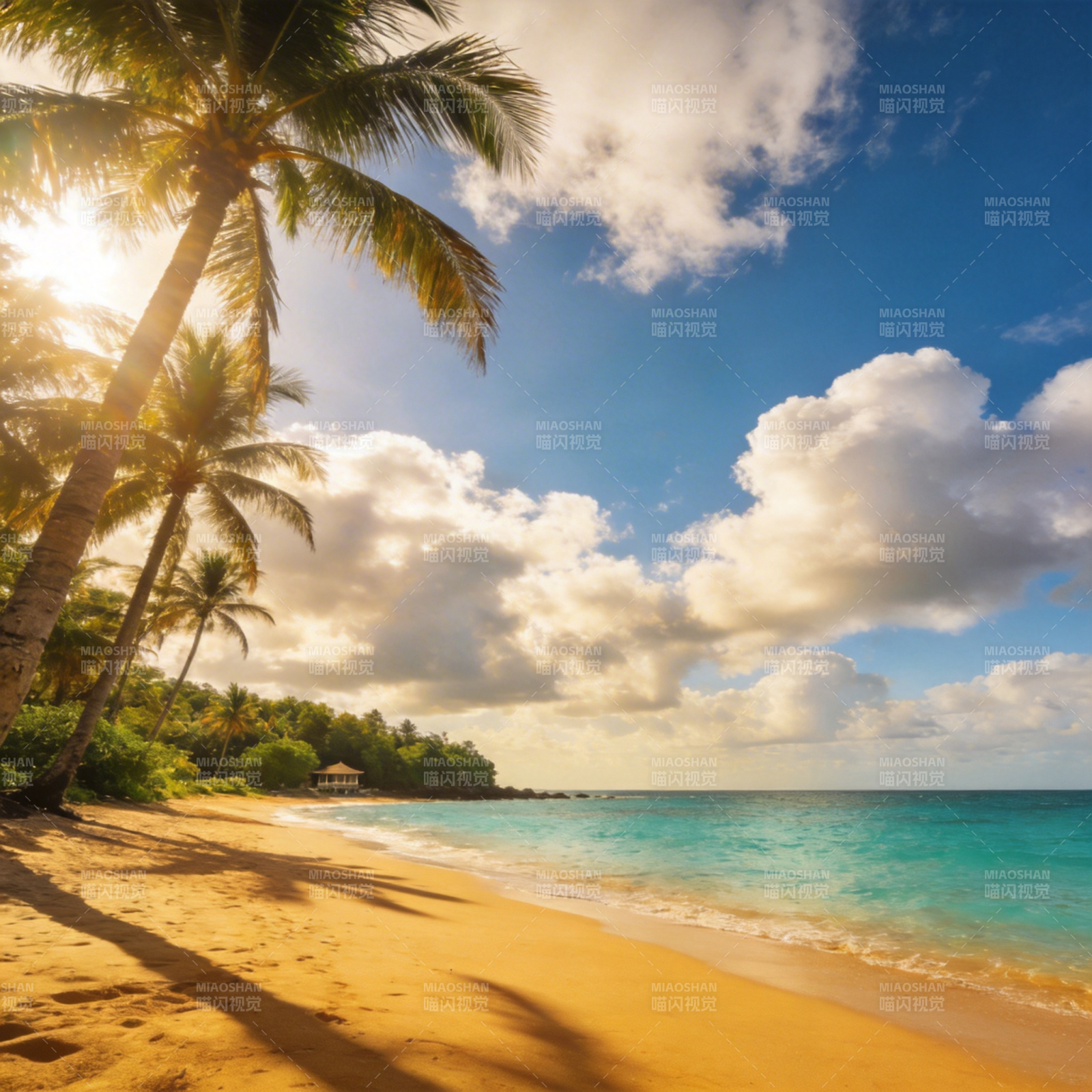 椰风海韵 阳光沙滩图片