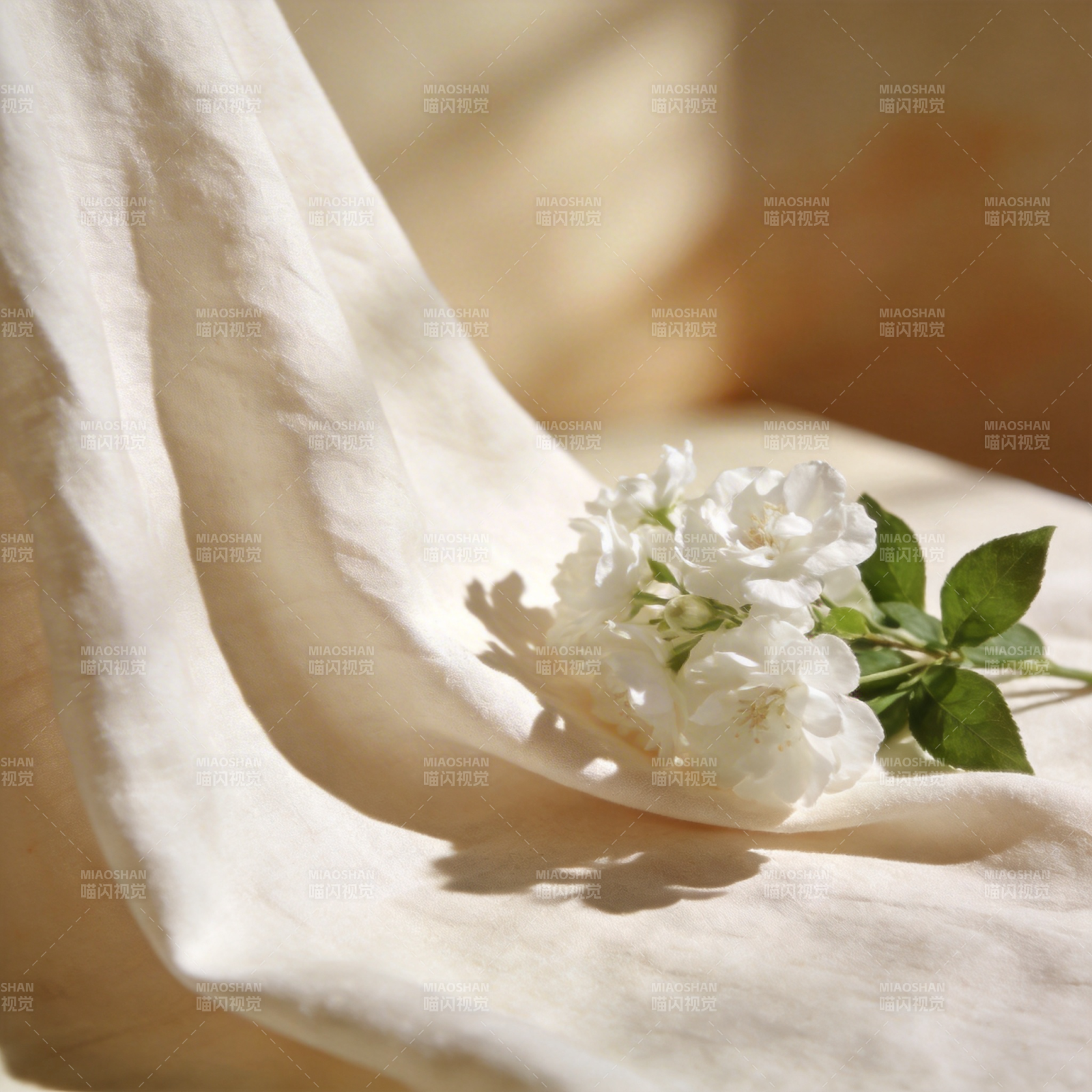 素布白花静谧美图片