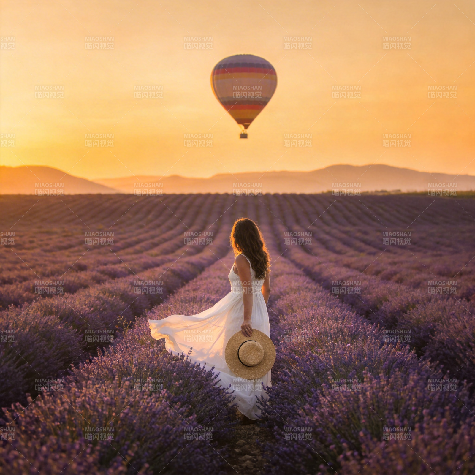 薰衣草田热气球图片