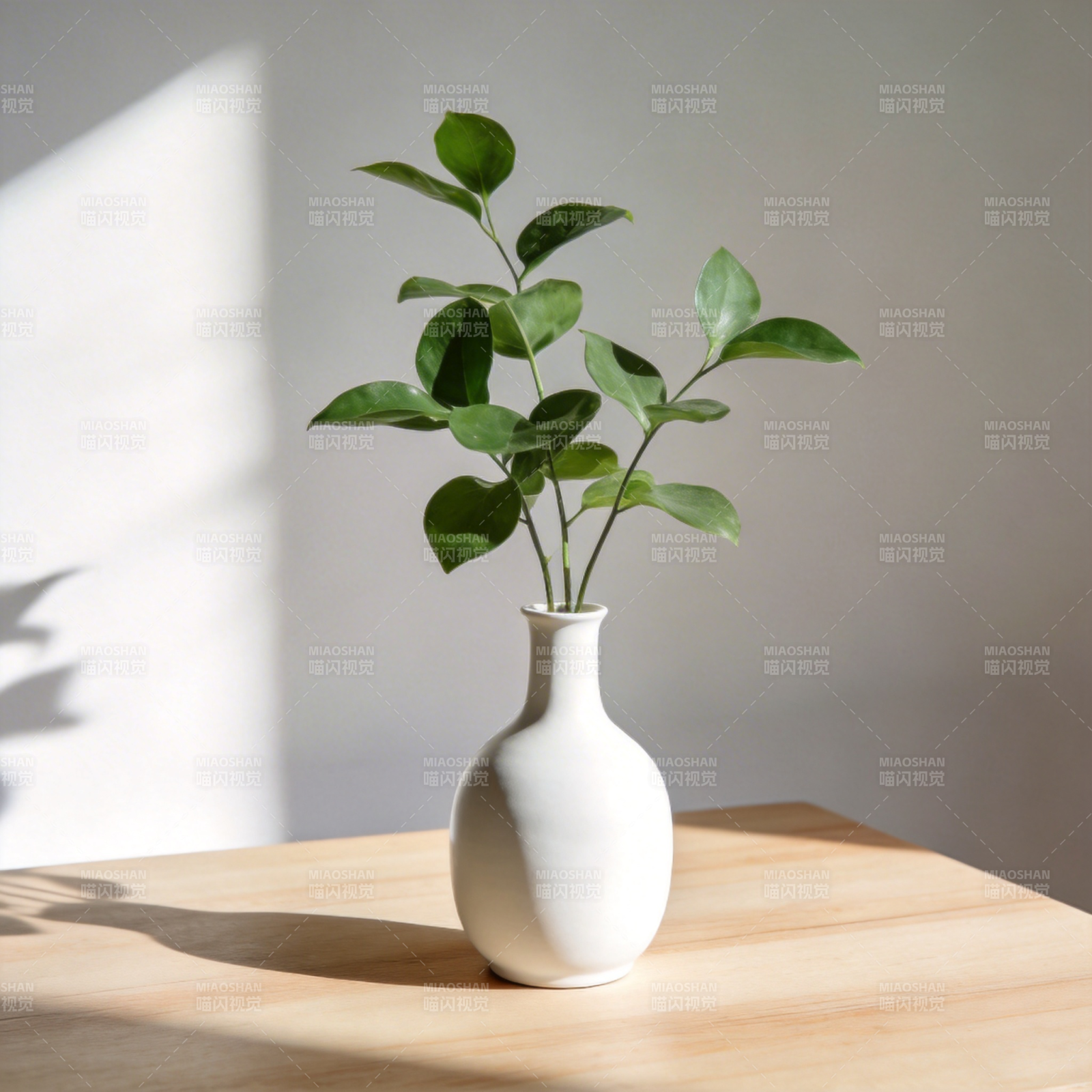 绿意盎然 静谧之美图片