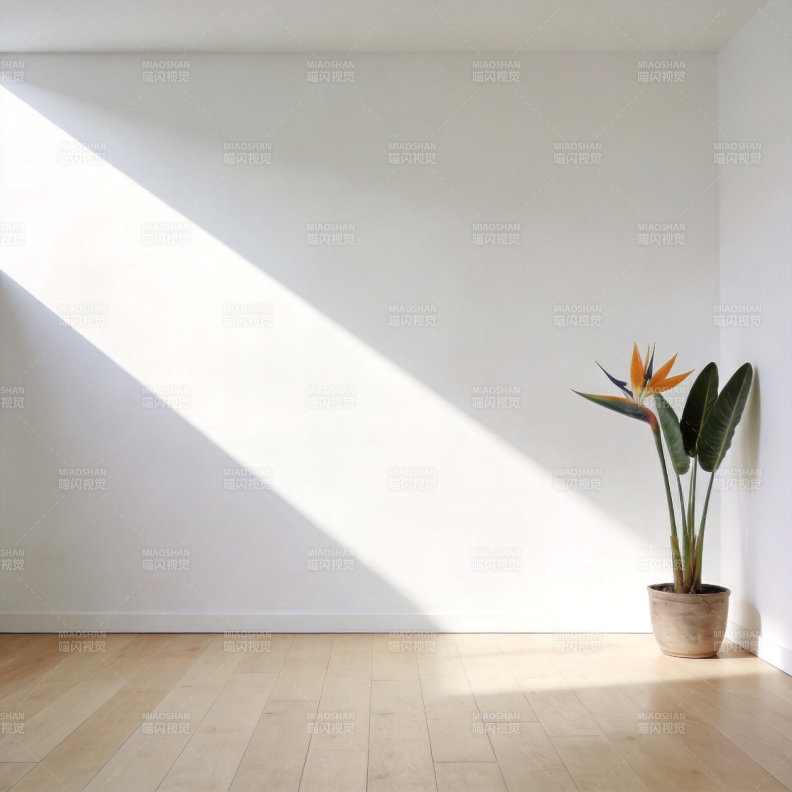 光与绿植的静谧角落图片