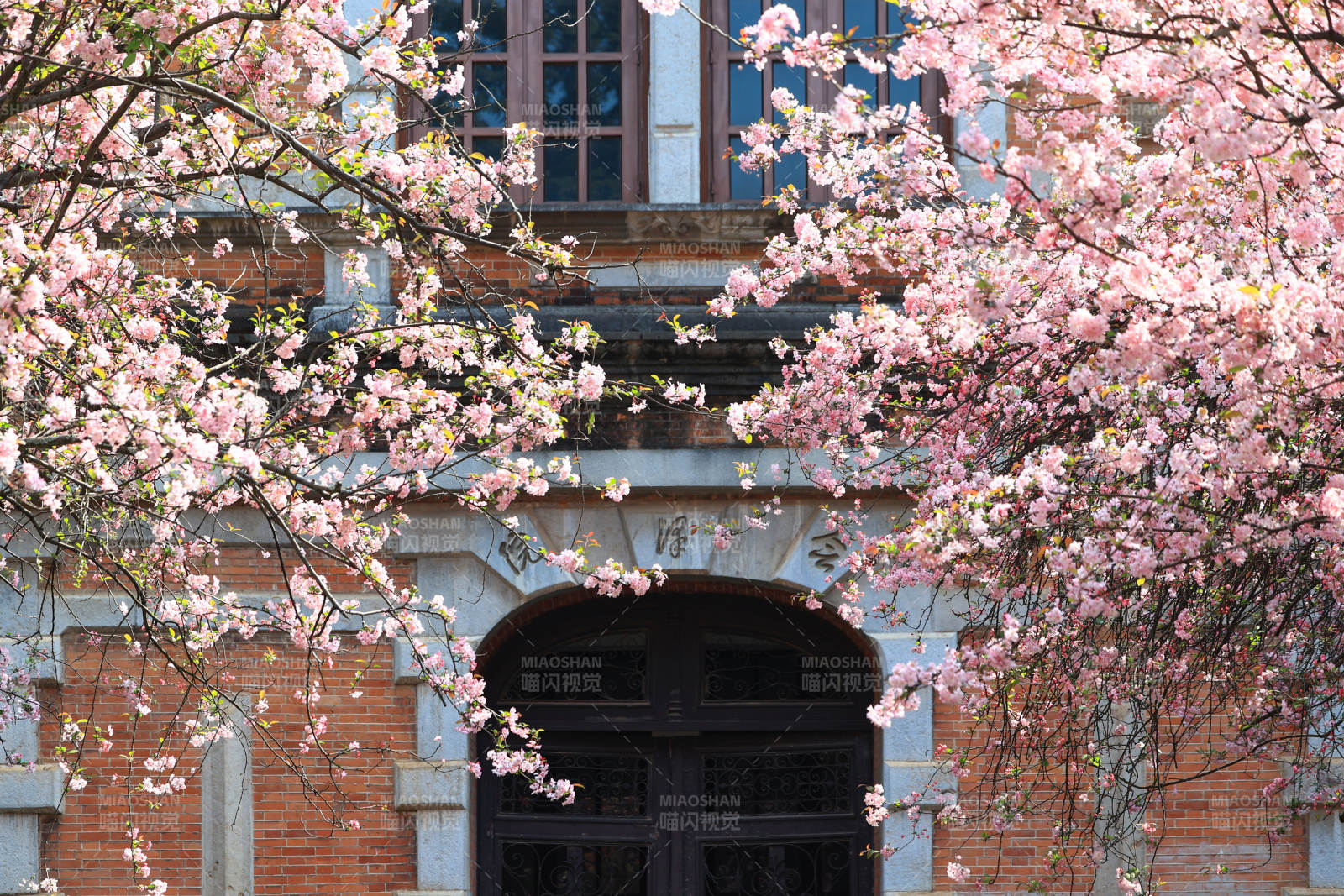 樱花映古建筑图片