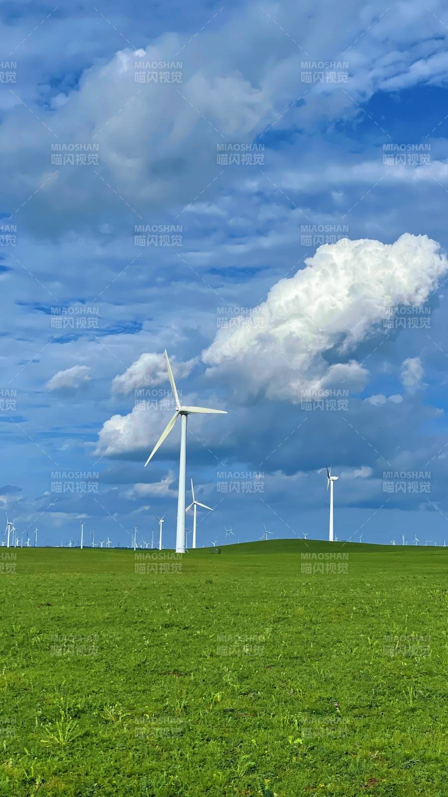 风车绿野蓝天图片