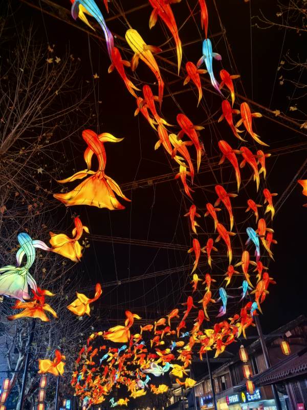 彩灯鱼群夜空舞图片