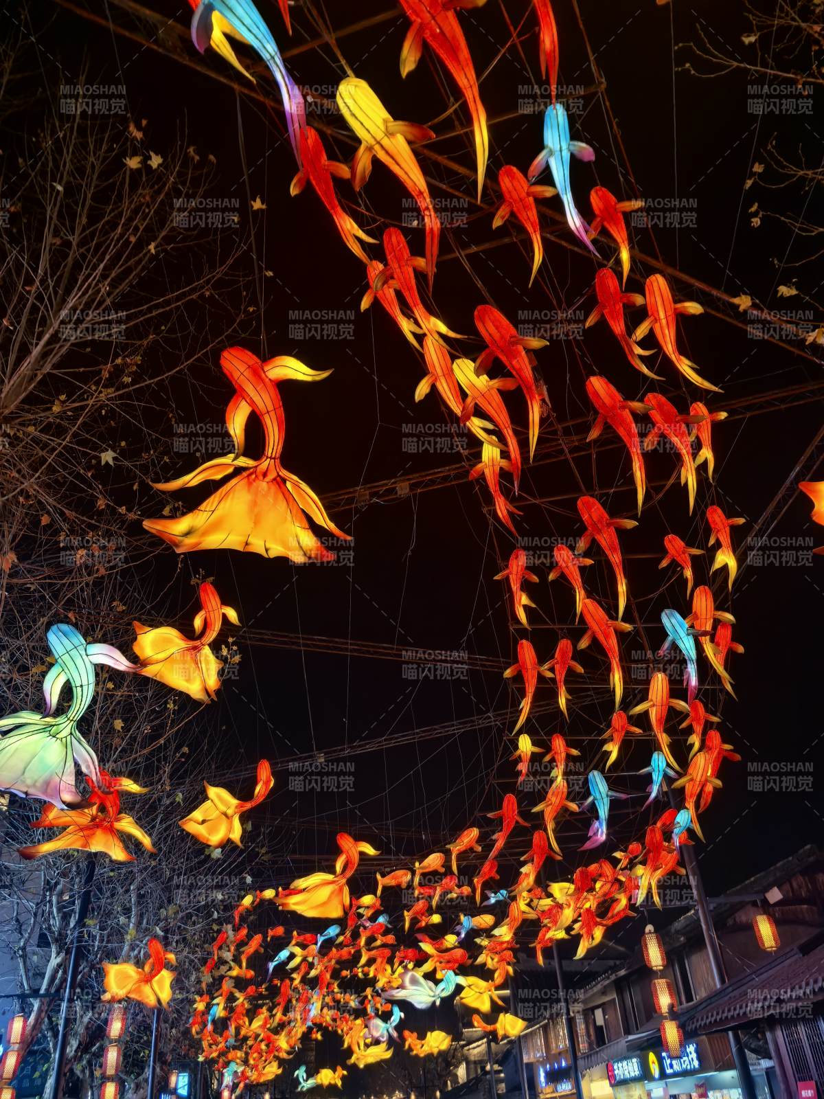 彩灯鱼群夜空舞图片