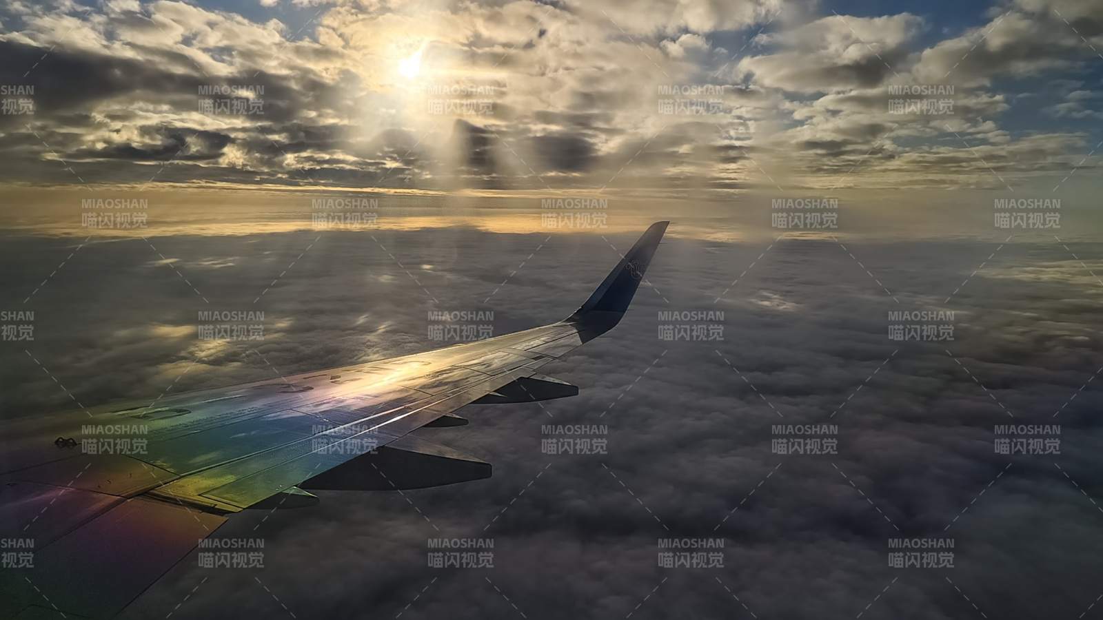 云海之上 翼影斑斓图片