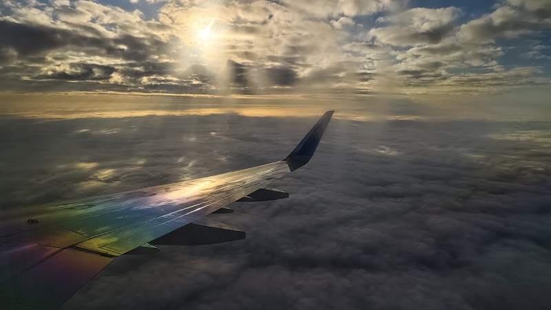 云海之上 翼影斑斓图片