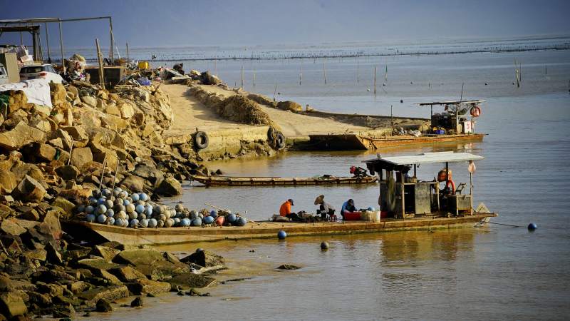 青山咀渔港晨景图片