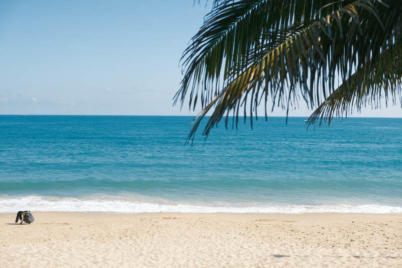 椰影沙滩海景图片