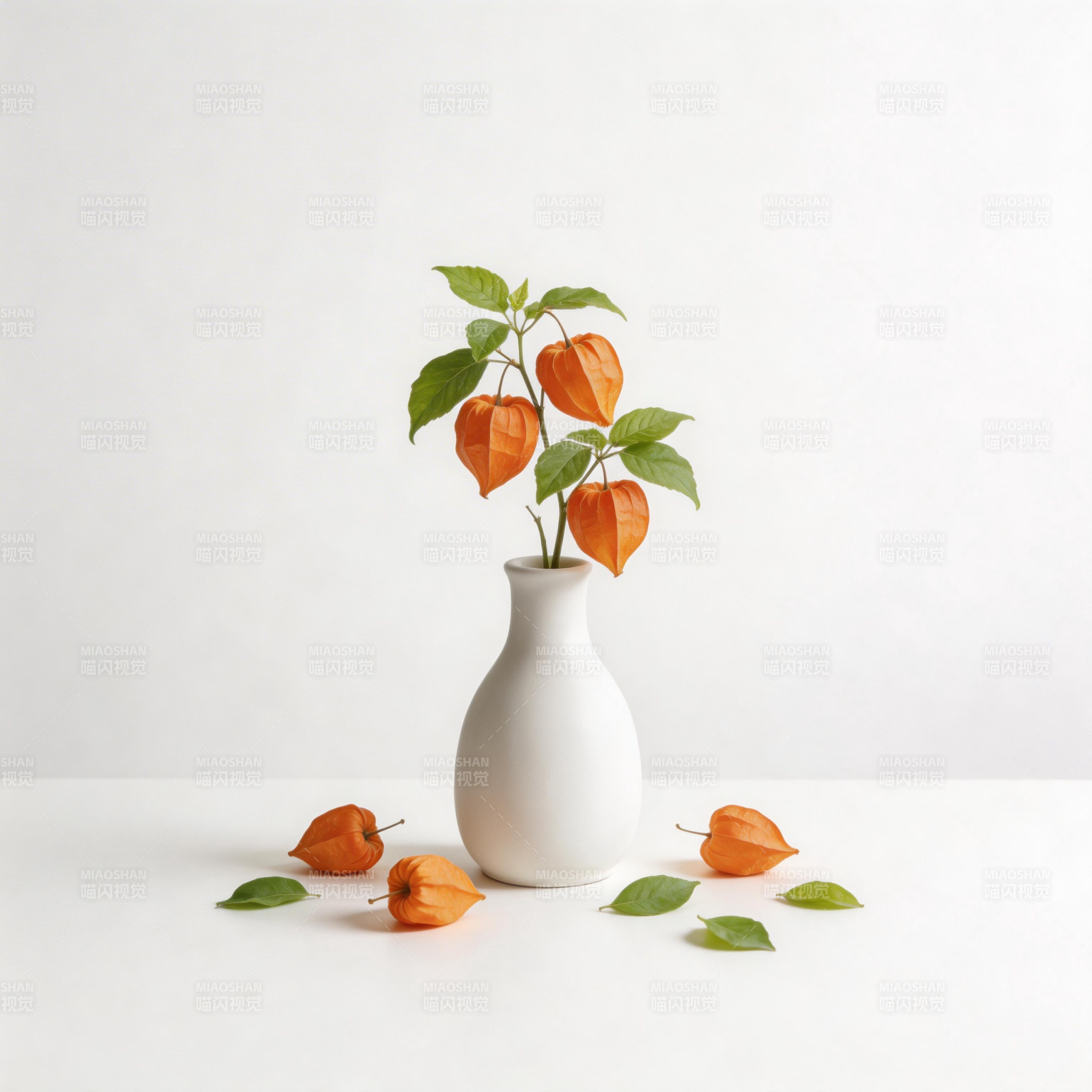 橙果绿叶静物图图片