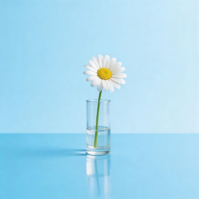 雏菊静置水杯中图片