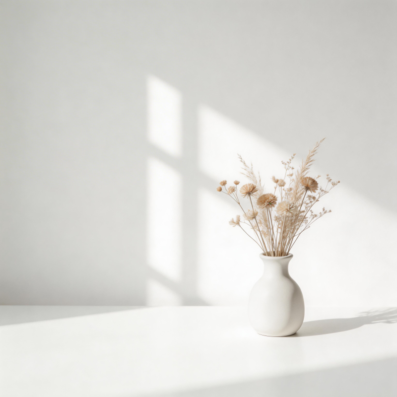 光影中的干花静谧图片