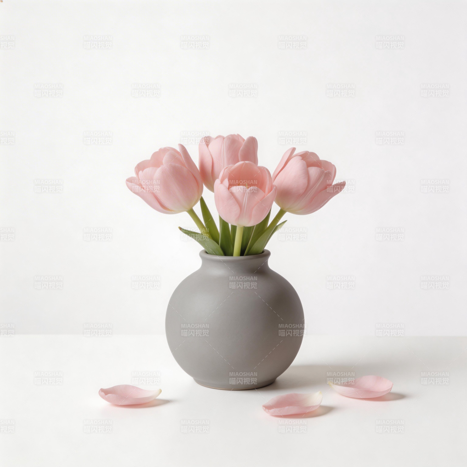 粉郁金香静物图片