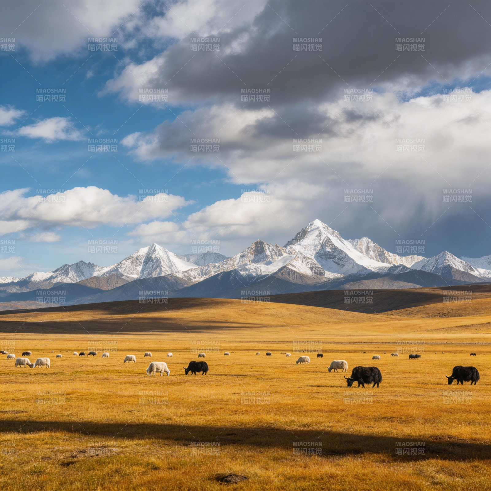 雪山草原牧歌图片
