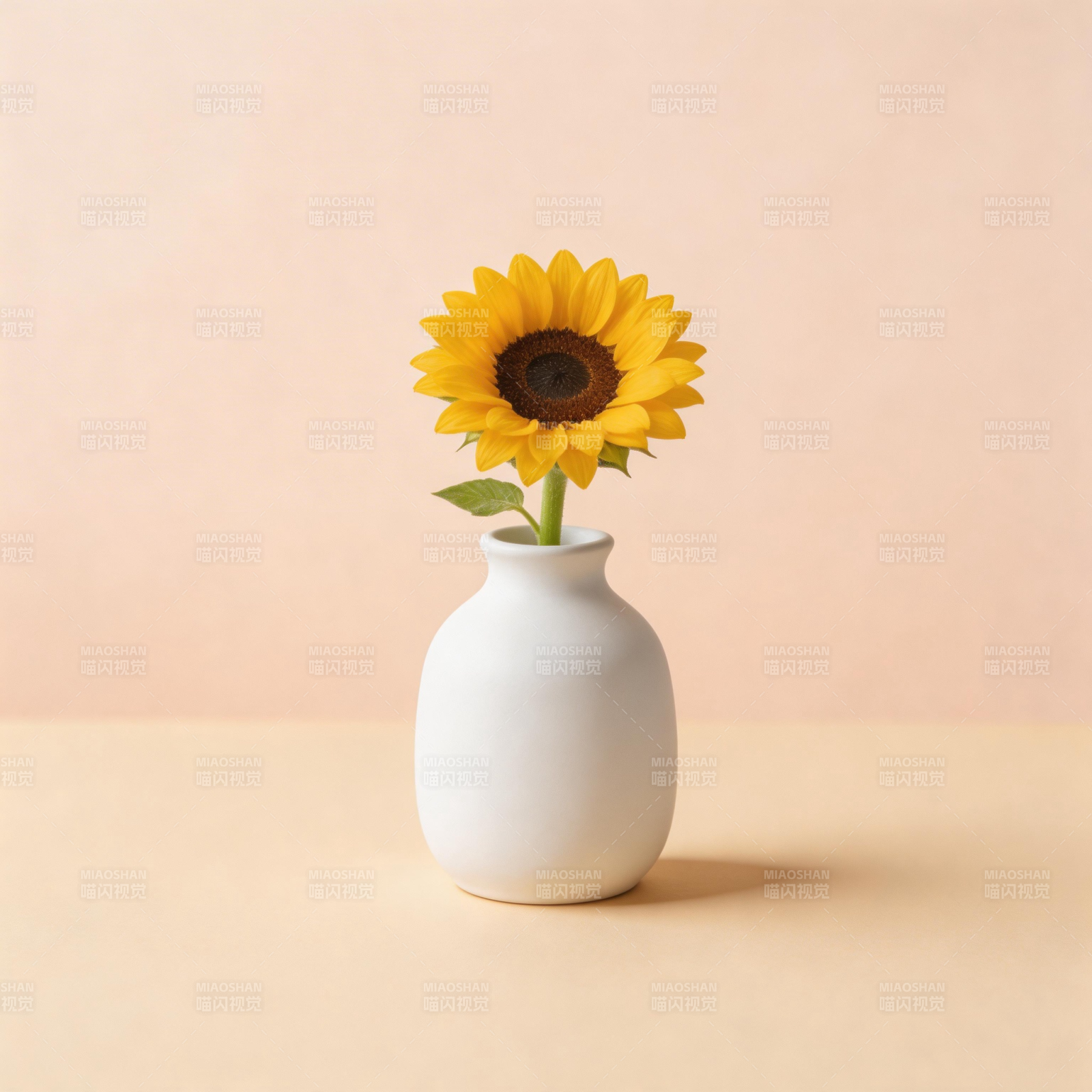 向日葵静物图片