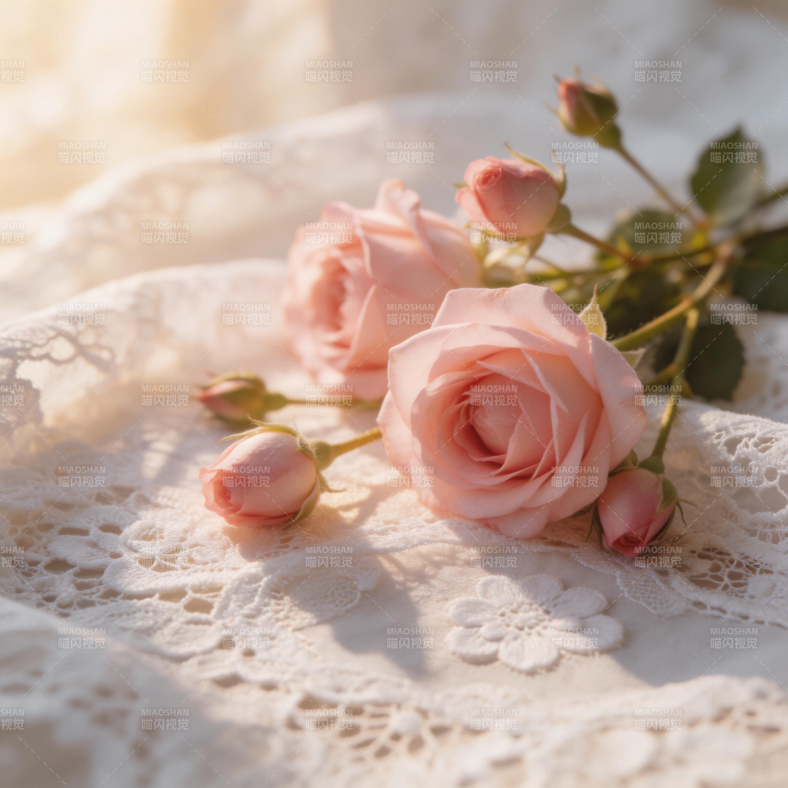 粉玫瑰与蕾丝图片