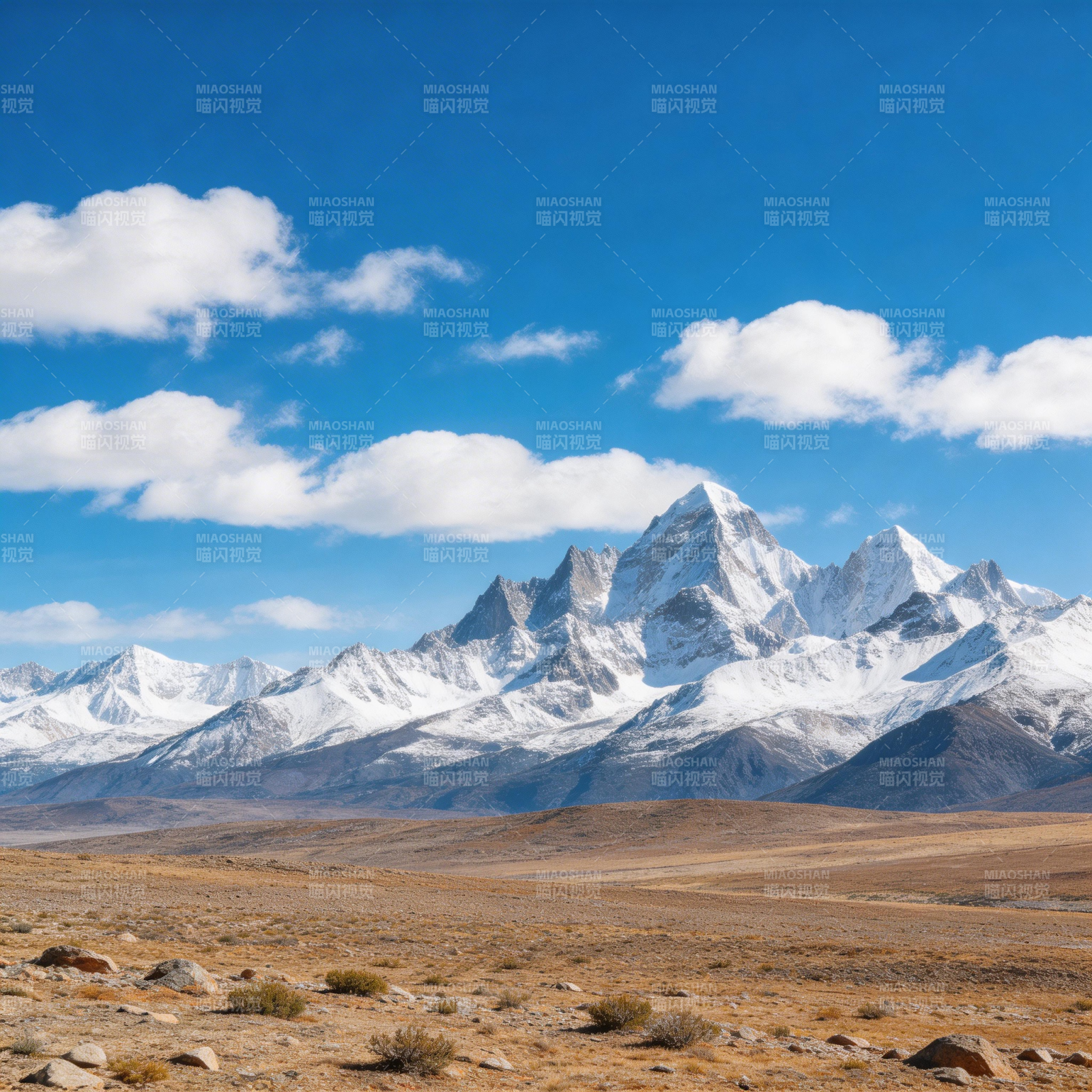 雪山下的荒原图片