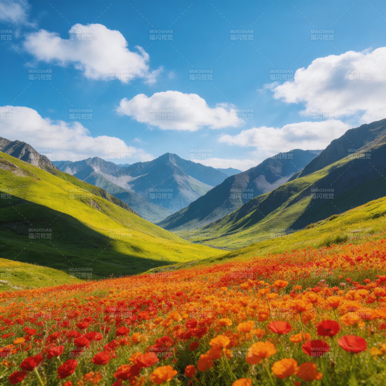 花海山谷图片