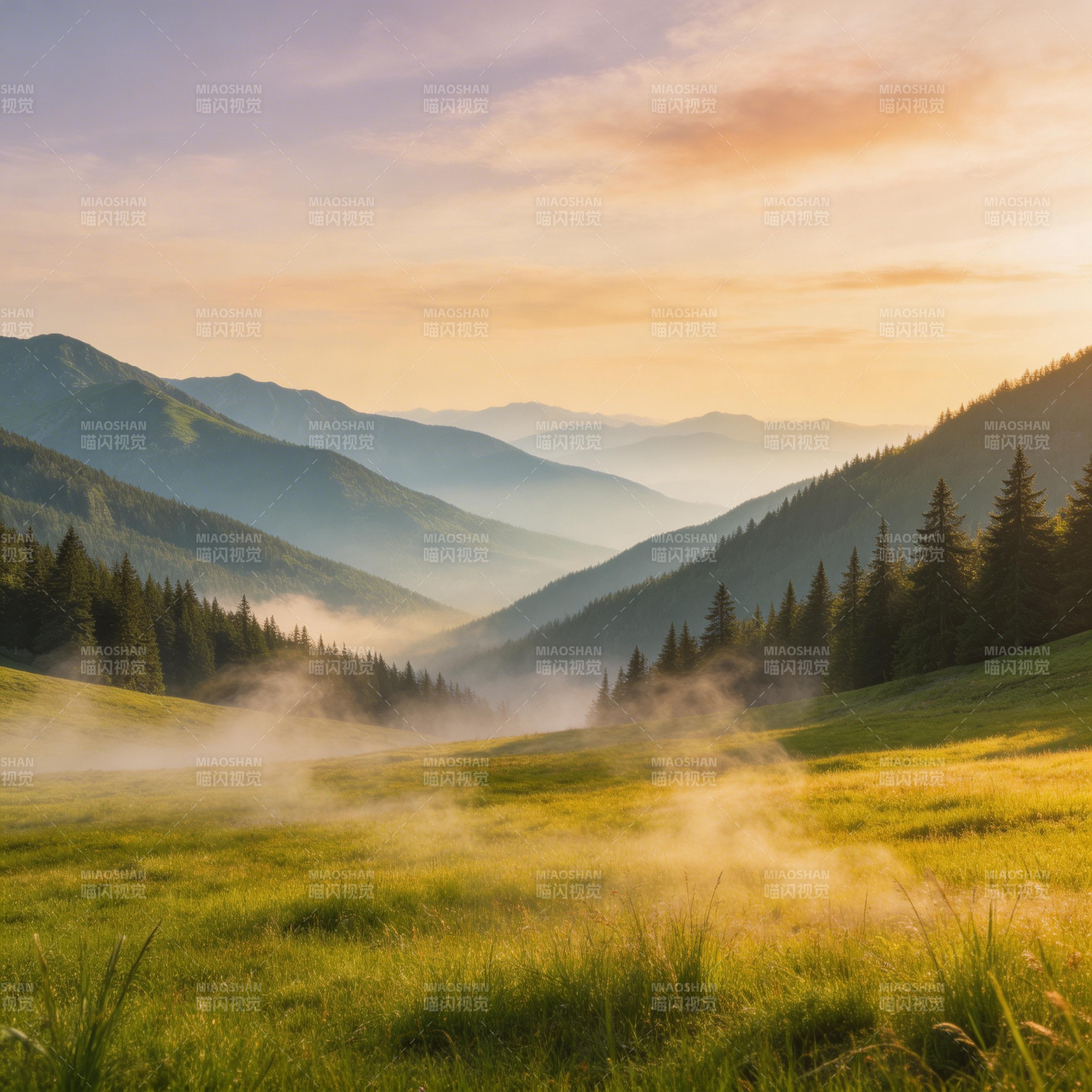 晨雾山谷图片