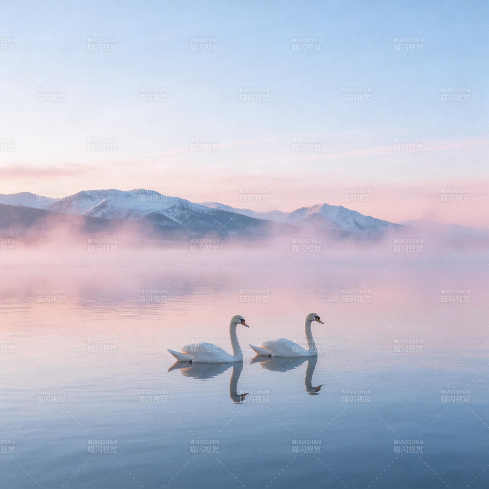湖光山色天鹅影图片
