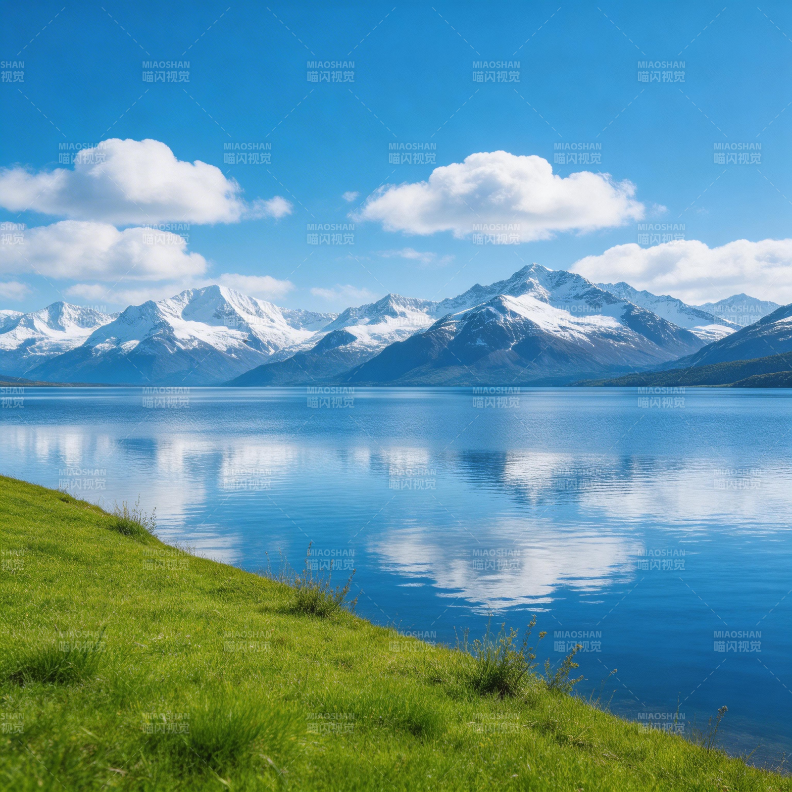 雪山湖畔春光美图片