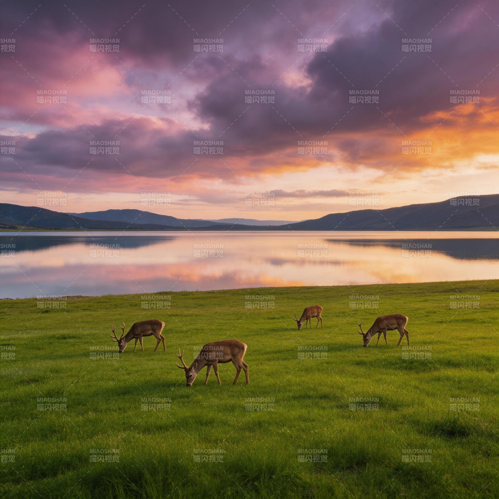 湖畔鹿影夕阳图片