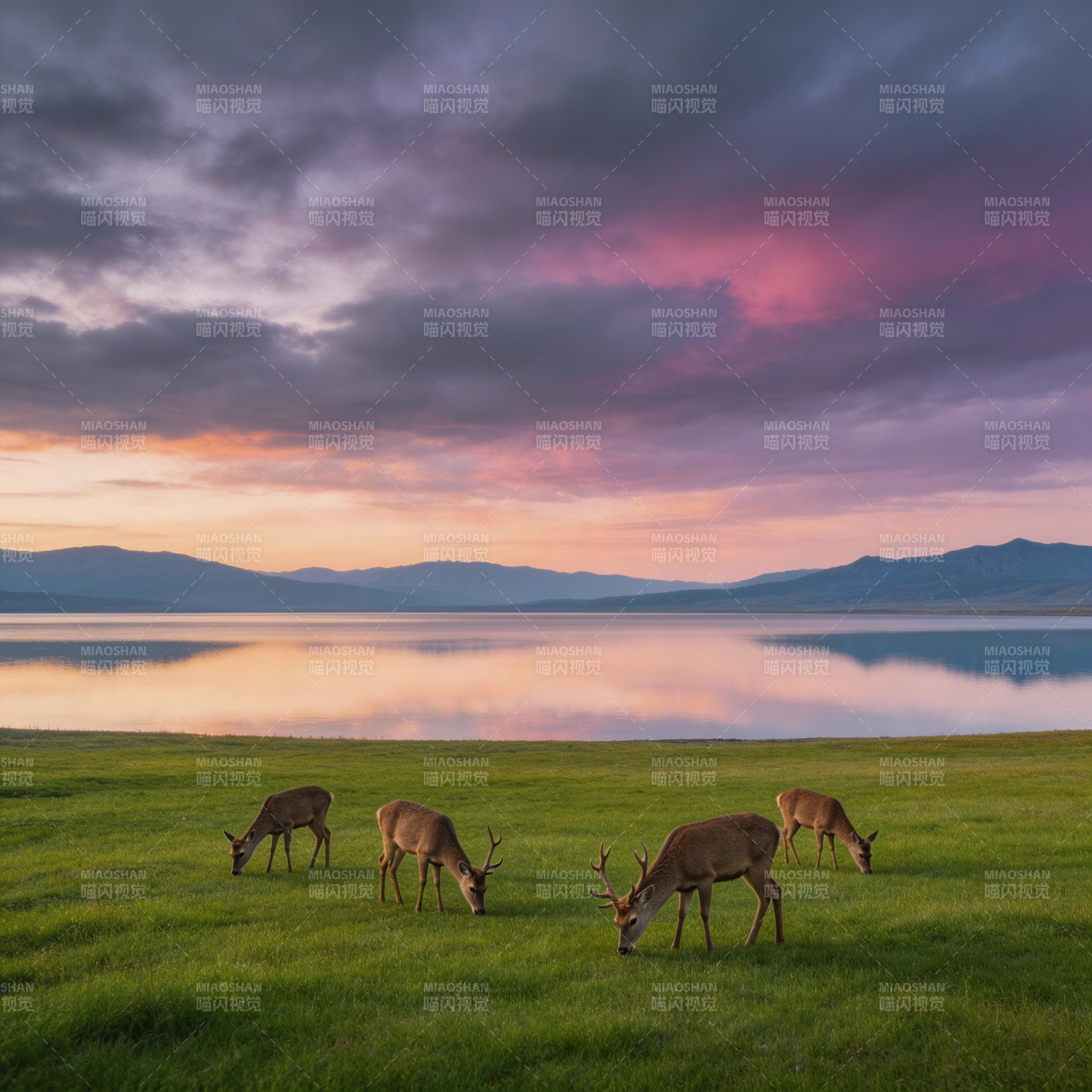 湖畔鹿影夕阳图片