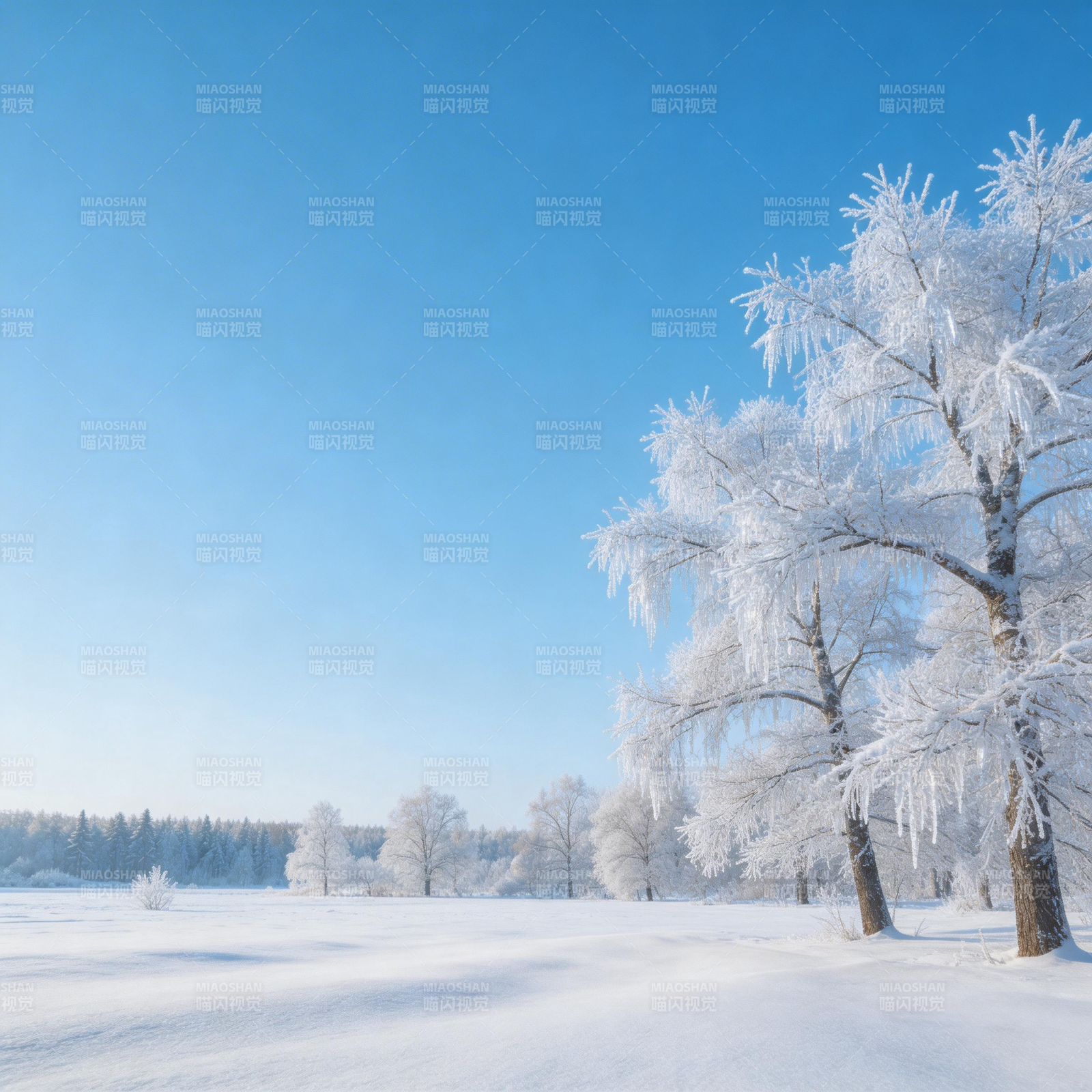 雪覆林间 晴空如洗图片
