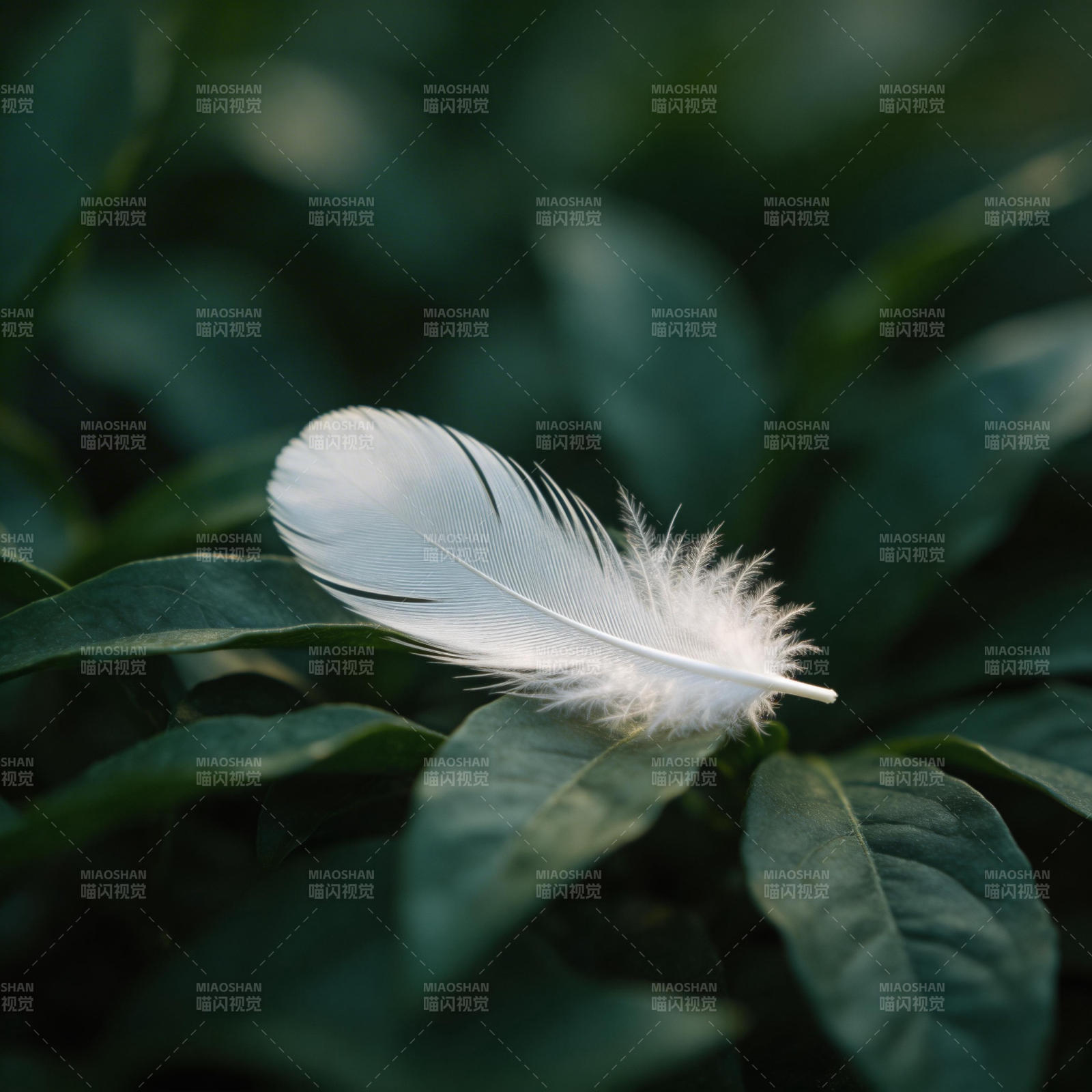 羽落绿叶间图片