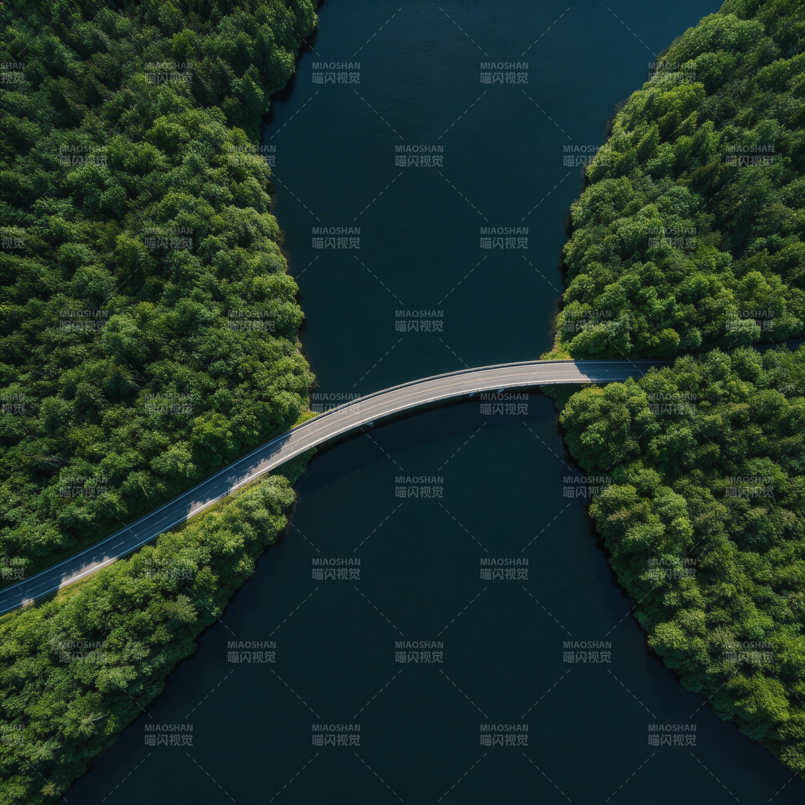 桥连两岸绿意浓图片