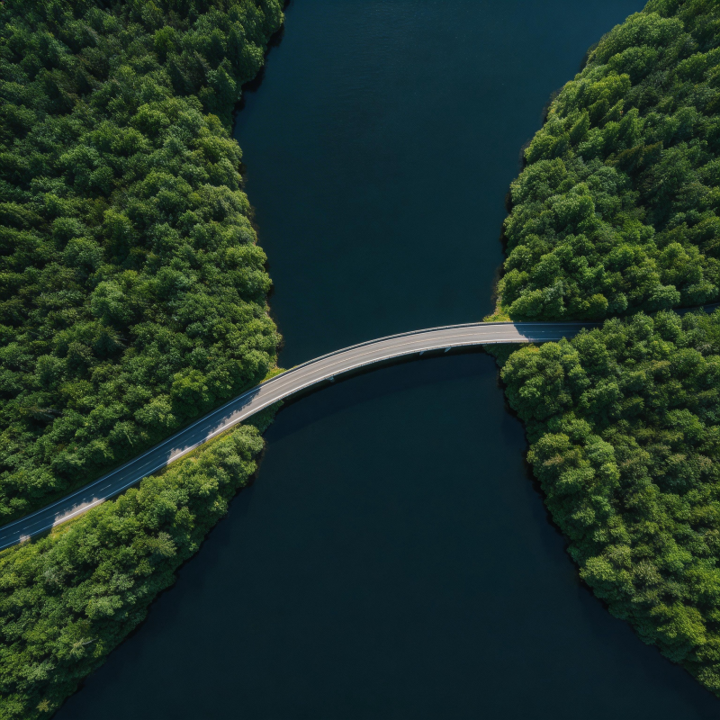 桥连两岸绿意浓图片