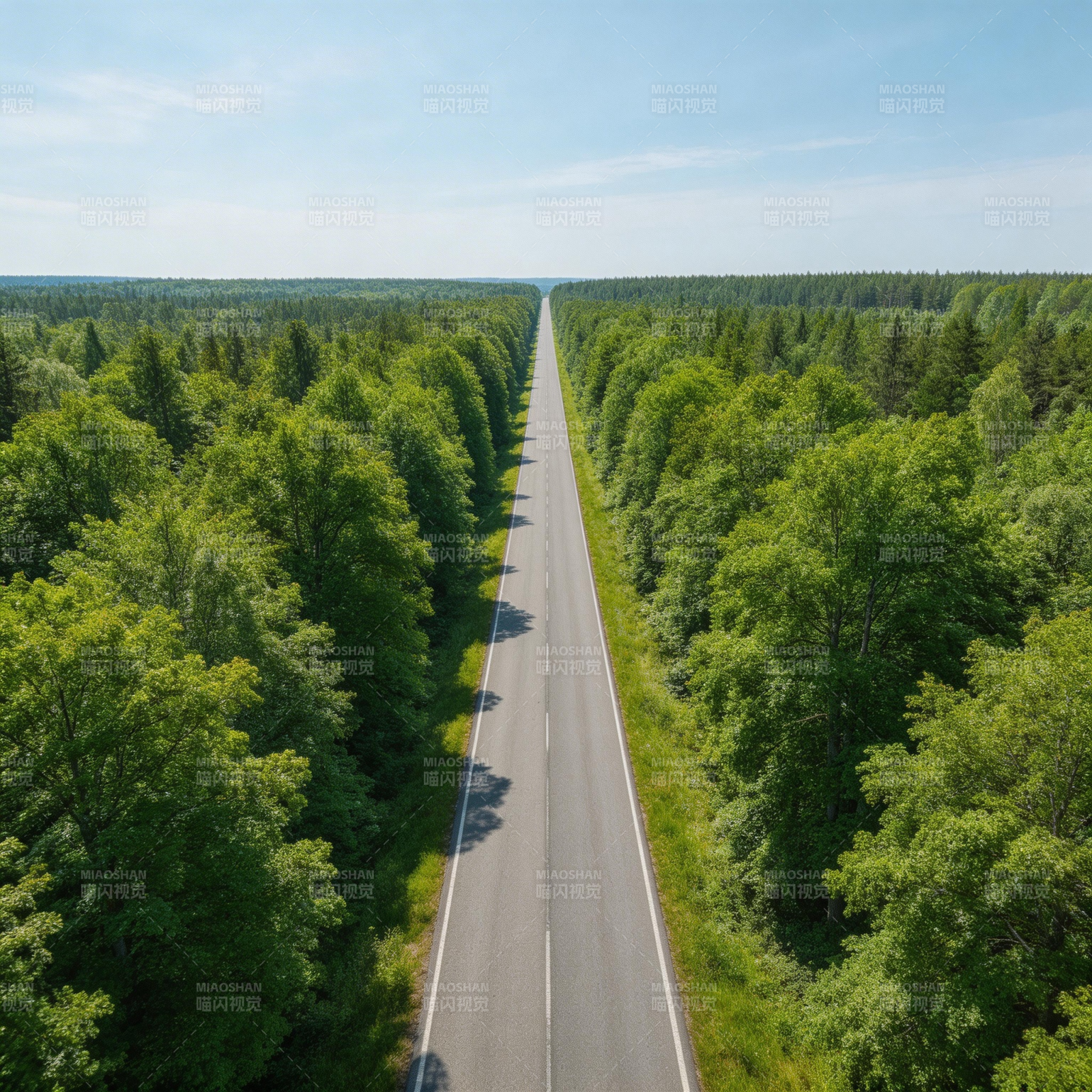 林间公路延伸远方图片