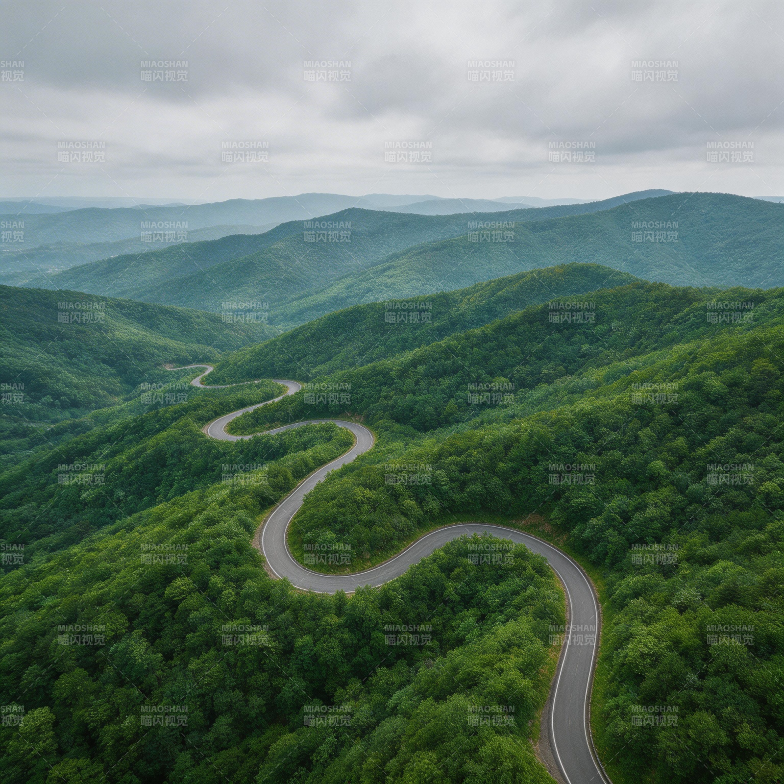 蜿蜒山路入翠林图片