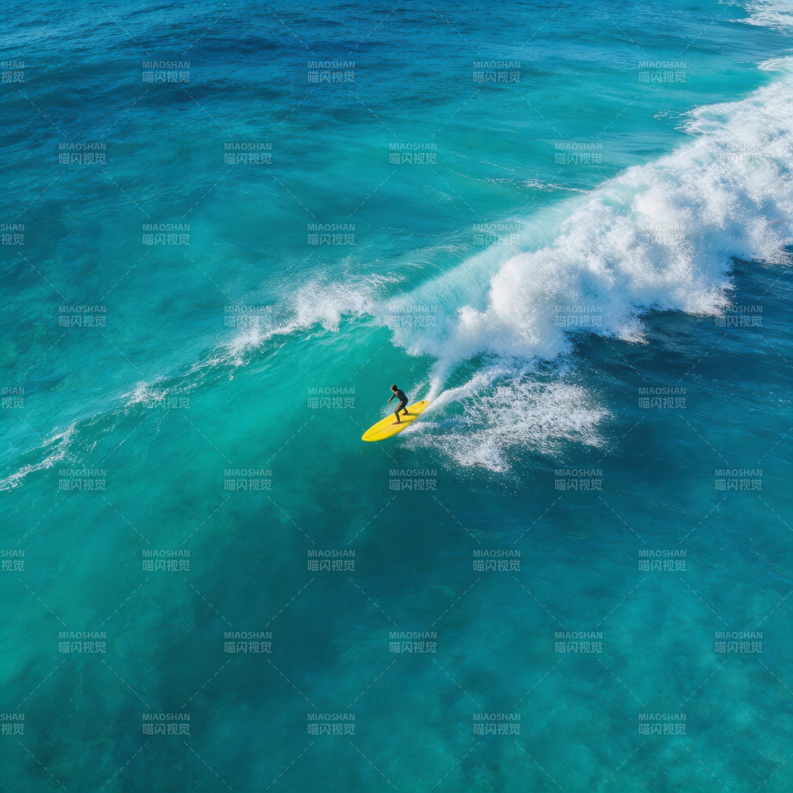 碧海冲浪 畅享自由图片
