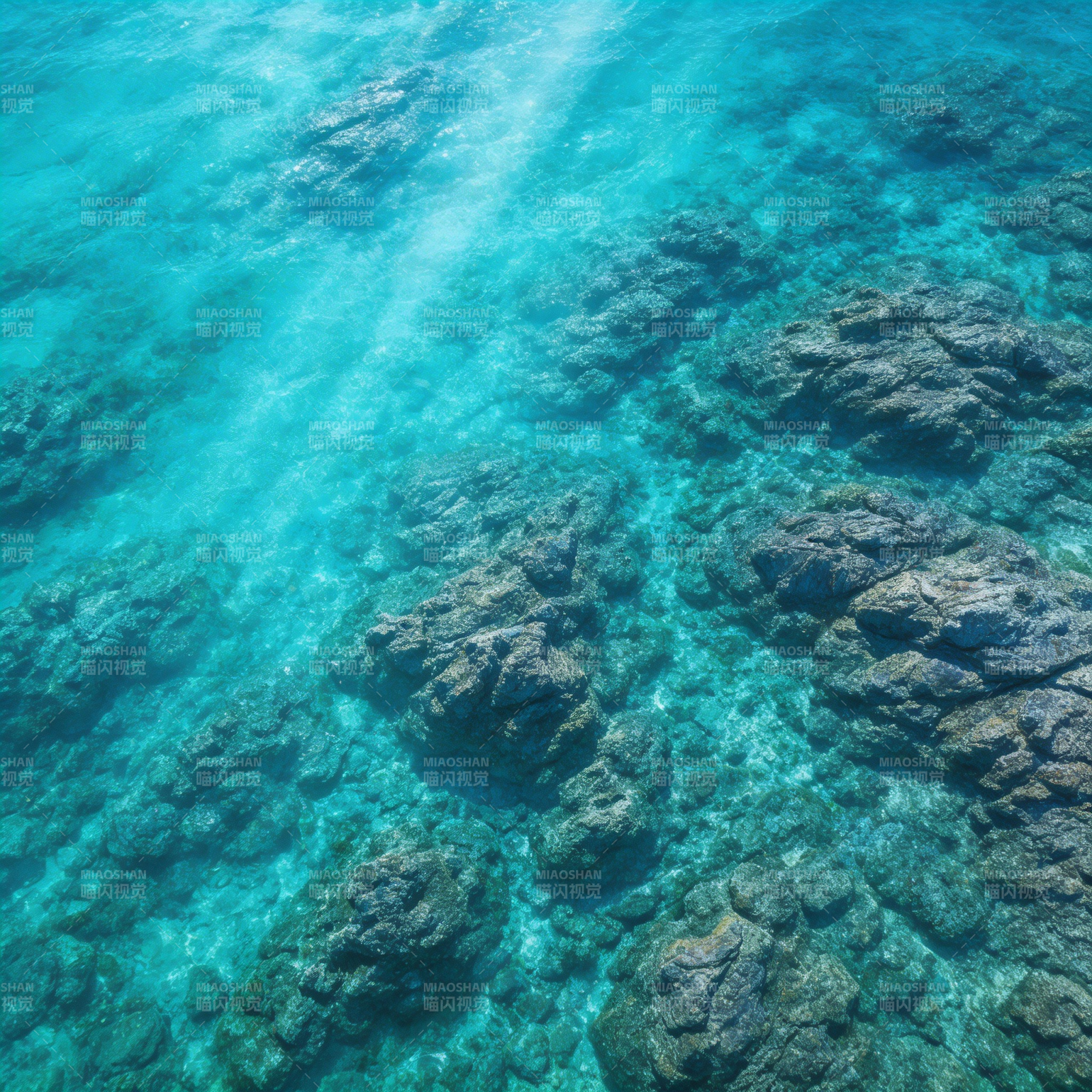 碧海珊瑚礁图片