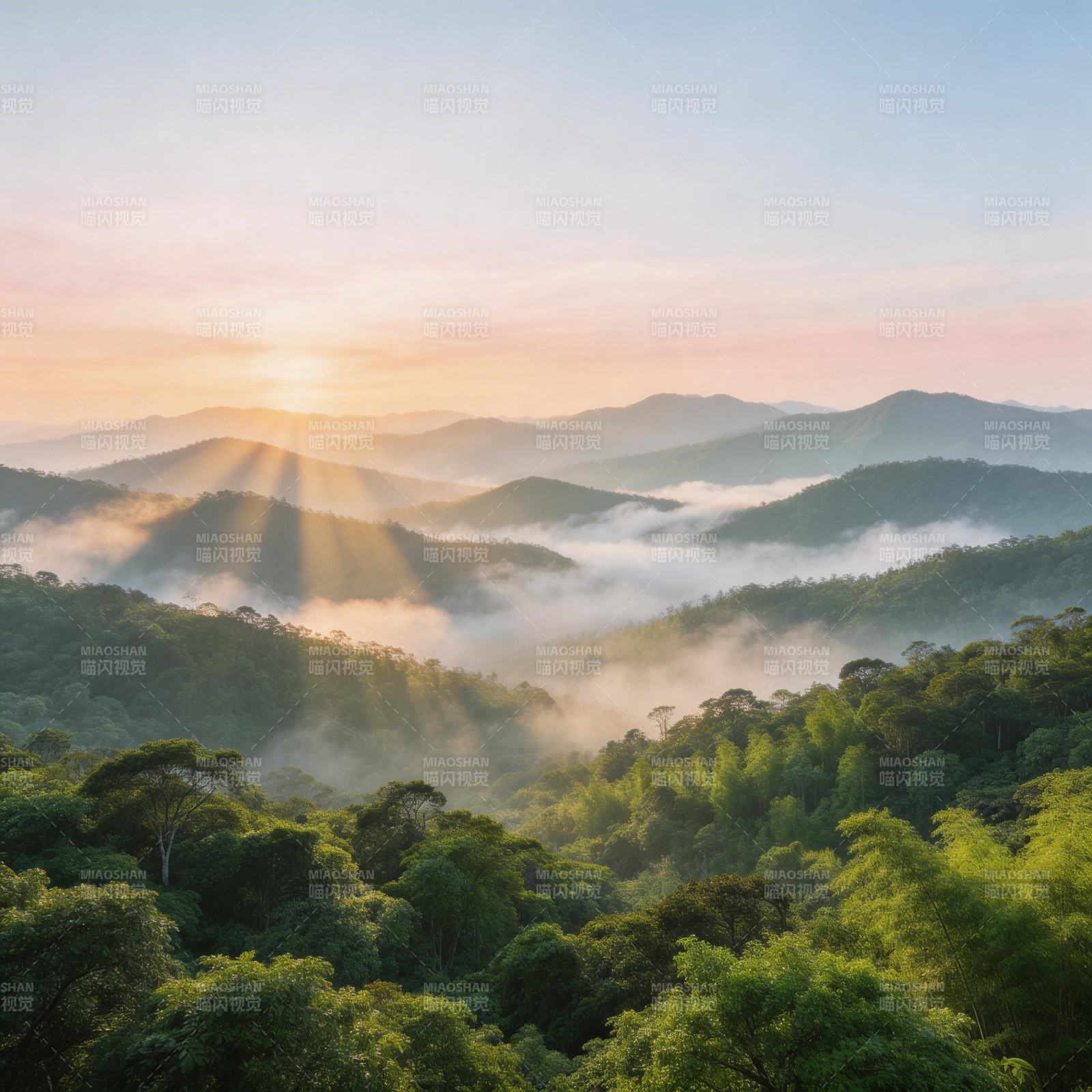 晨曦山雾林海图片