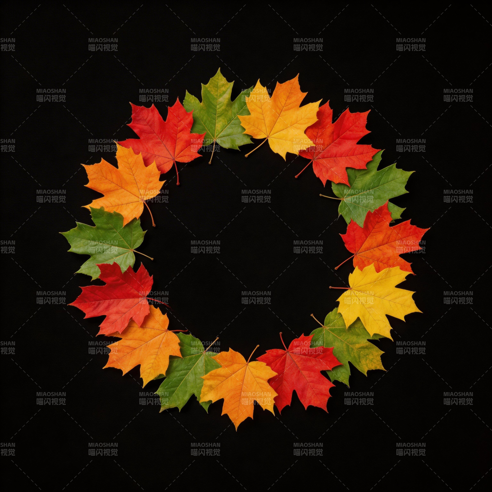 秋叶环形图图片