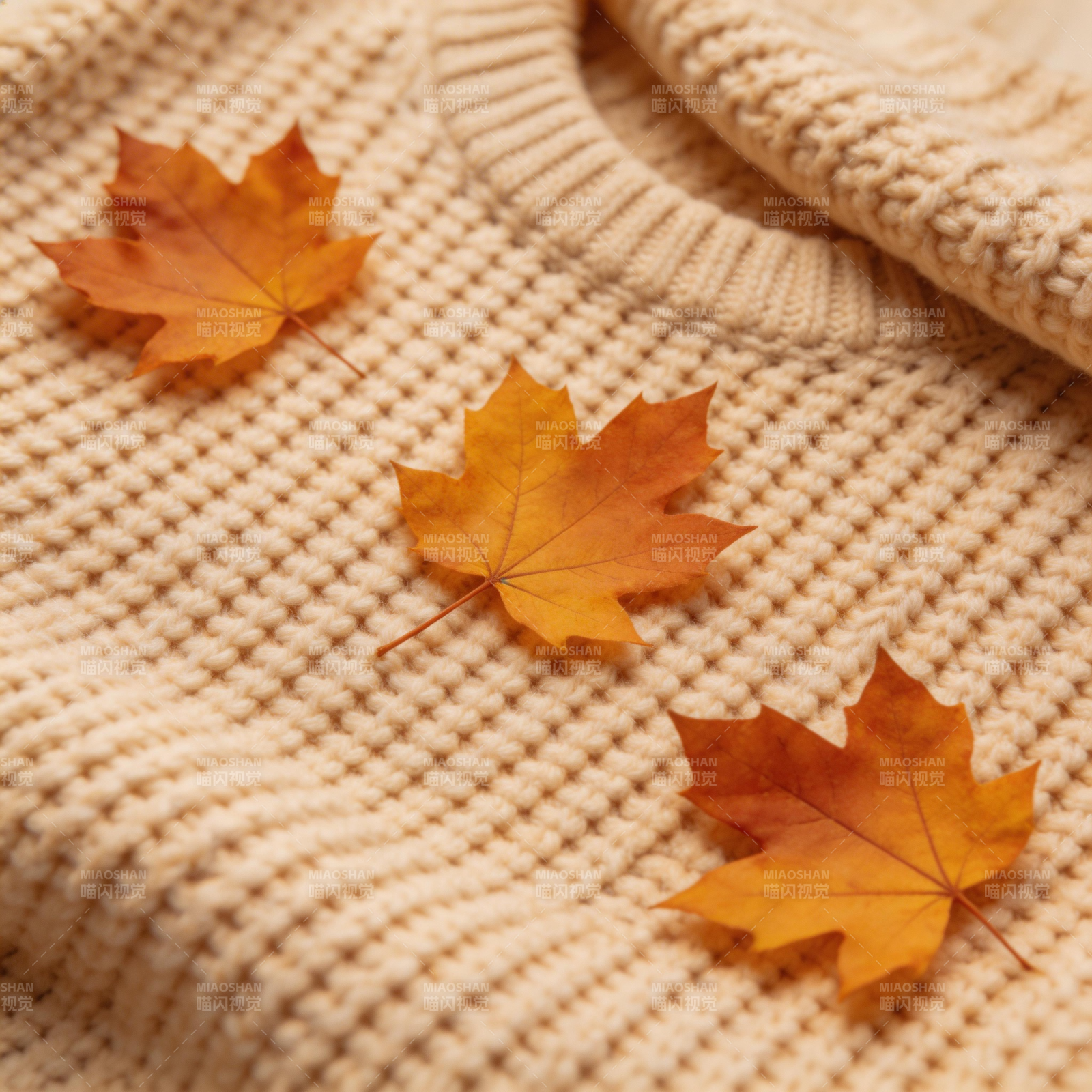 秋叶与毛衣图片