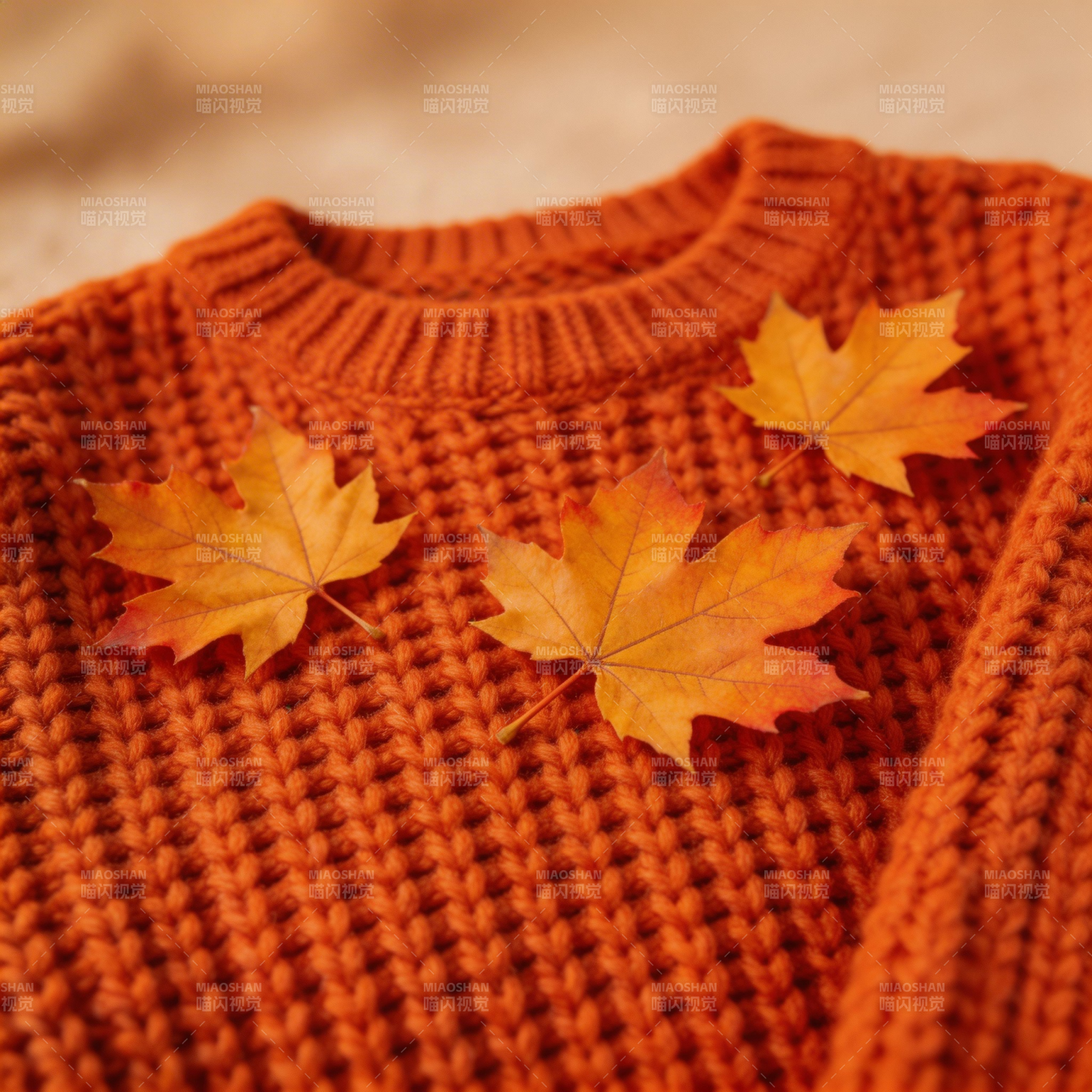 秋叶点缀橙色毛衣图片