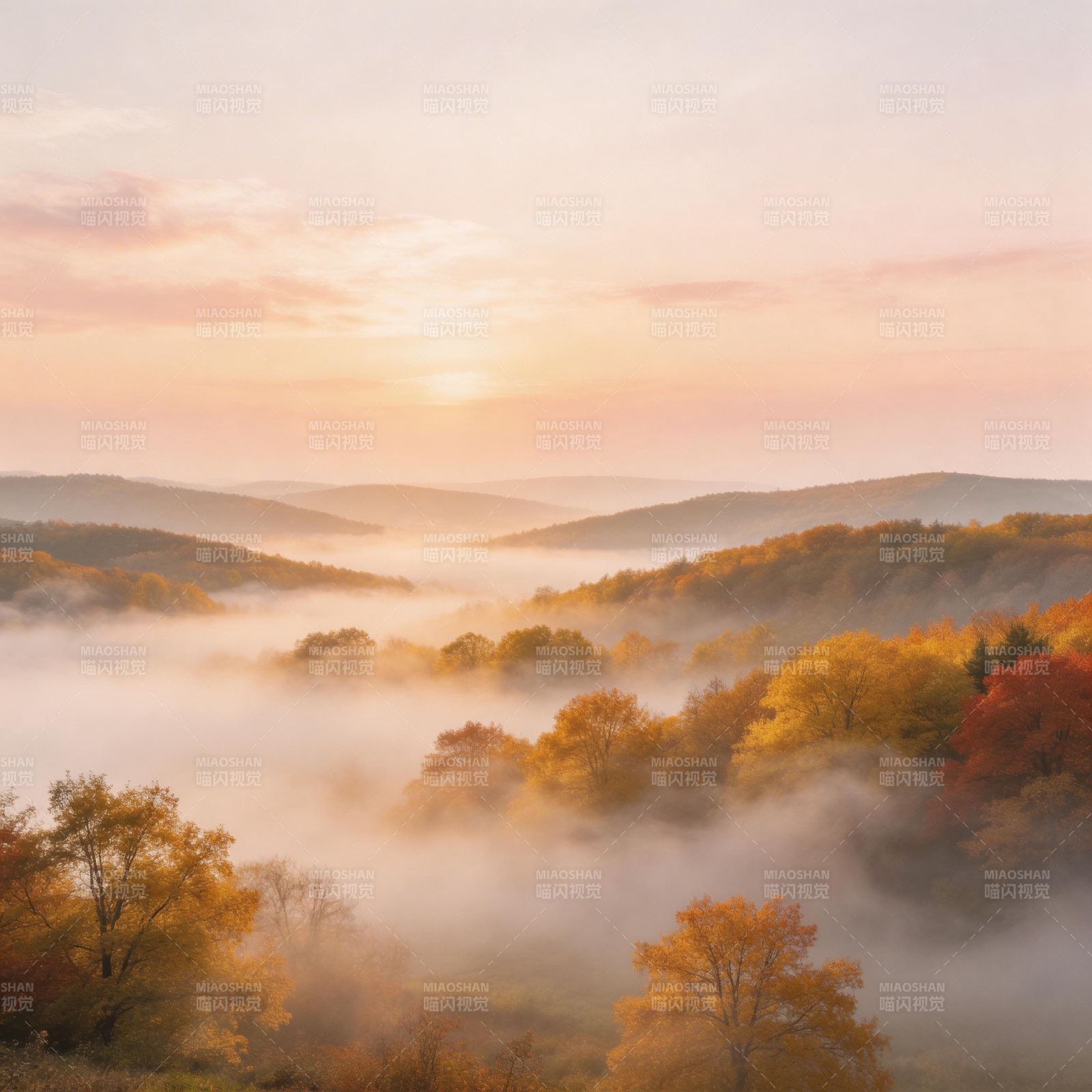 秋雾晨曦山林图片