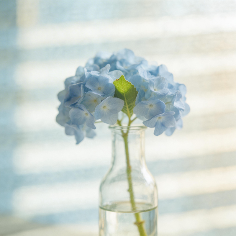 蓝花静置瓶中图片