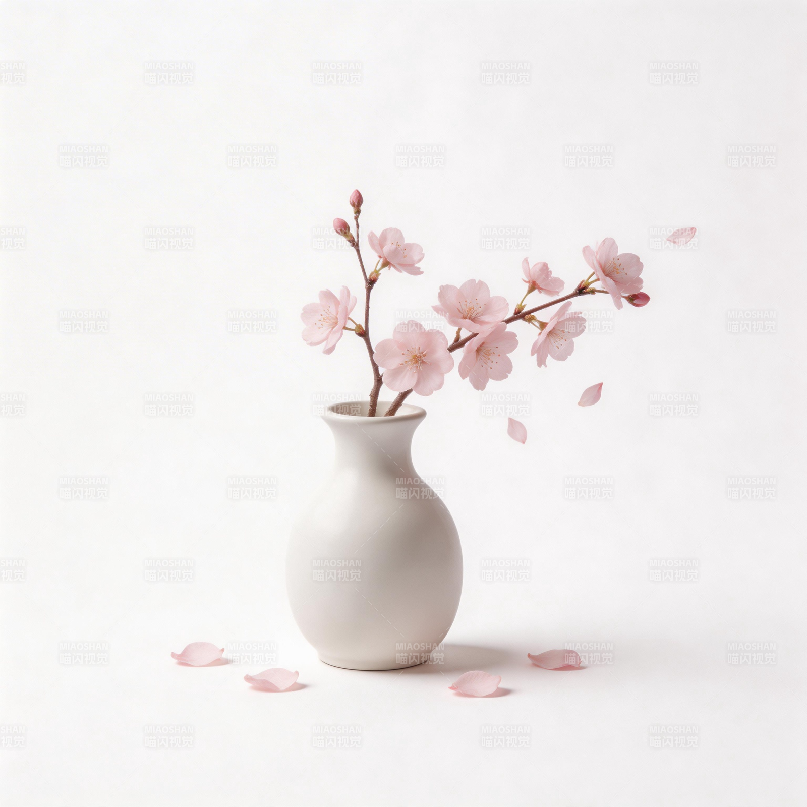 樱花静谧绽放图片