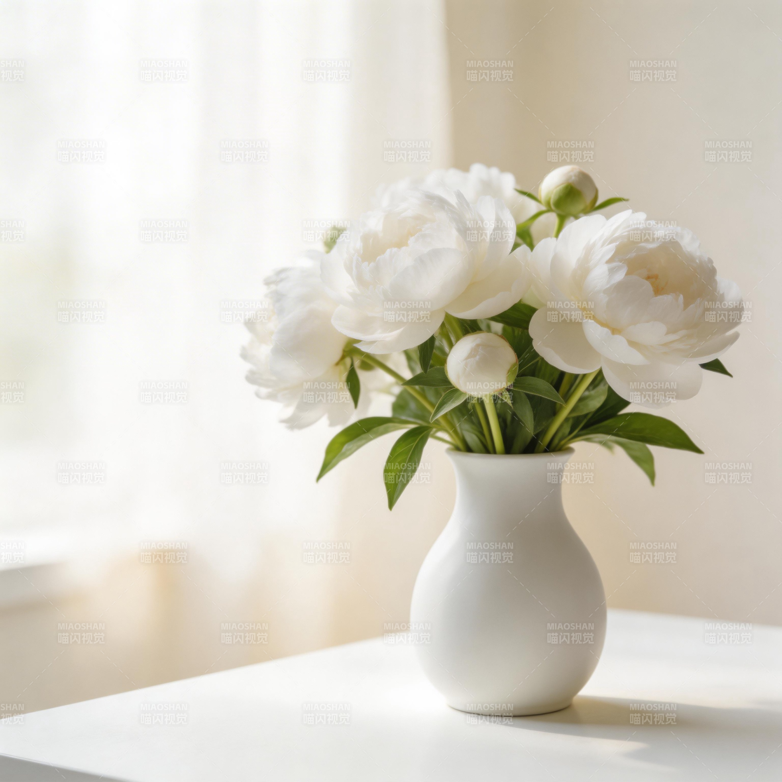 白花静谧之美图片