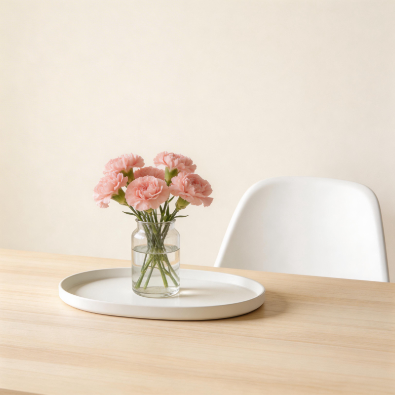 粉色康乃馨静物图片